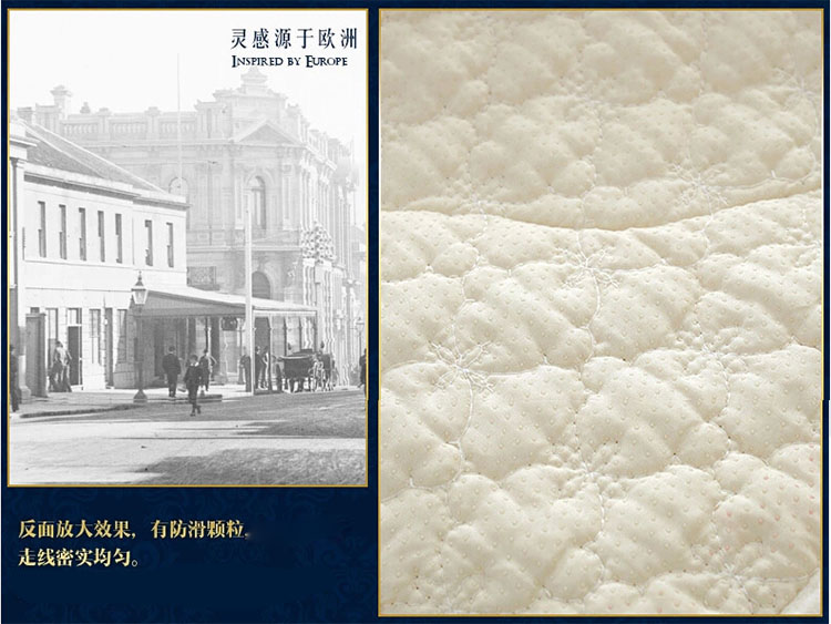 
                                        
                                                            青苇 法莱绒 防滑沙发坐垫 玫瑰款 米色70*70                