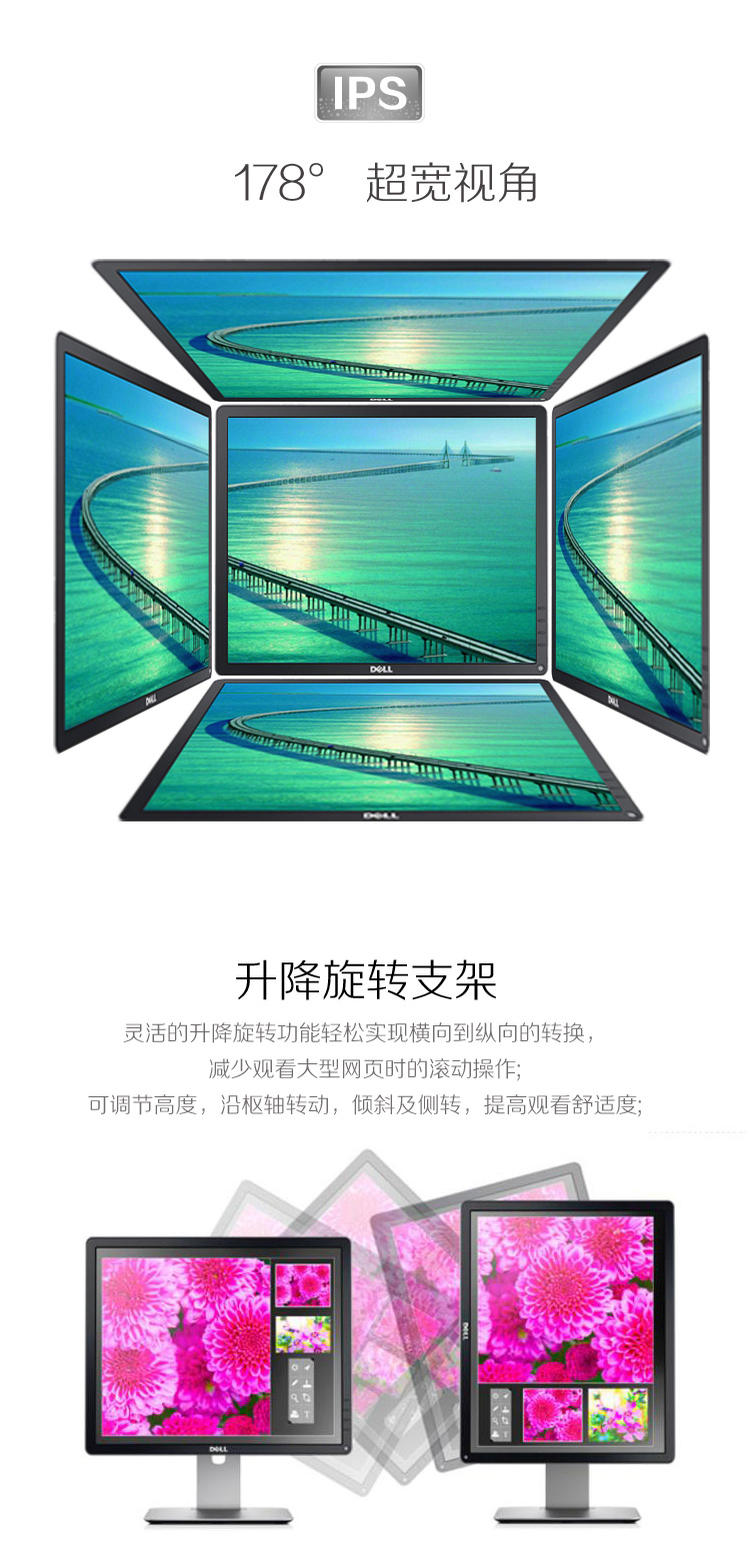 戴尔（DELL） P1914S 19英寸旋转升降5:4正屏商用IPS屏显示器