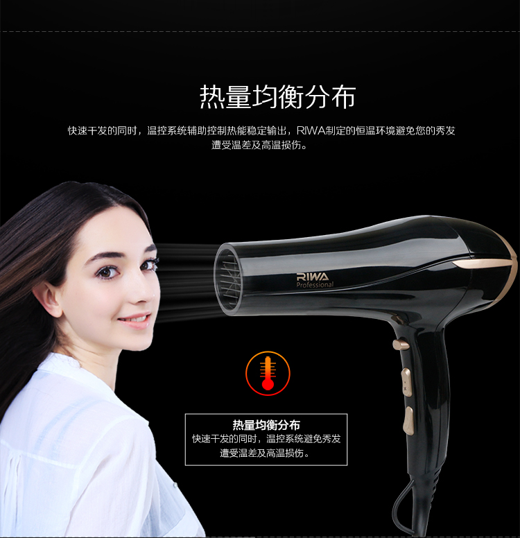 
                                        雷瓦(RIWA) 电吹风机 家用大功率快速干发吹风筒专业恒温2200W Q6 送女友生日礼物                