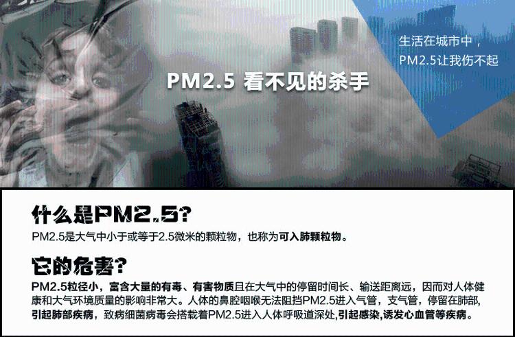 
                                        【京东超市】甲保御多功能五合一家用甲醛检测仪 PM2.5检测仪  BGFM-09                