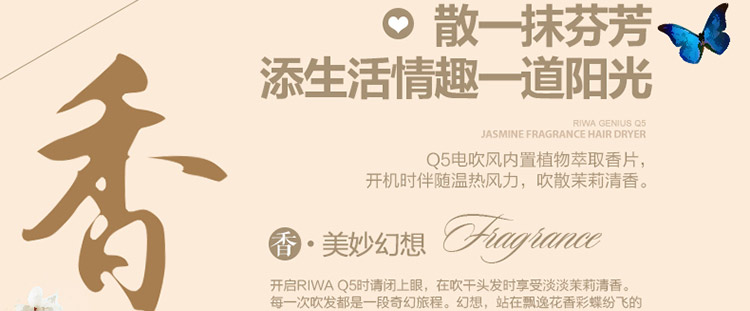 
                                        雷瓦(RIWA) 电吹风机 家用1200W茉莉清香 白色Q5 送女友生日礼物                