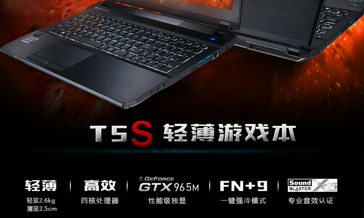 未来人类(Terrans Force)T5S 965M-47SH1 15.6英寸游戏笔记本电脑(i7-4720HQ 8G 128G RAID0+1T GTX965M)黑