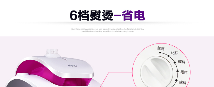 
                                        海尔（Haier）挂烫机 2.4L 双杆6档 双排11孔 蒸汽挂式 家用手持HGS-2417                