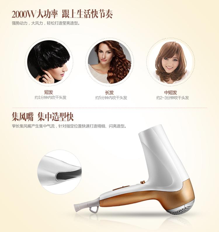 奔腾（POVOS）PH5300I 电吹风机 大功率 陶瓷白 高贵典雅白天鹅系列