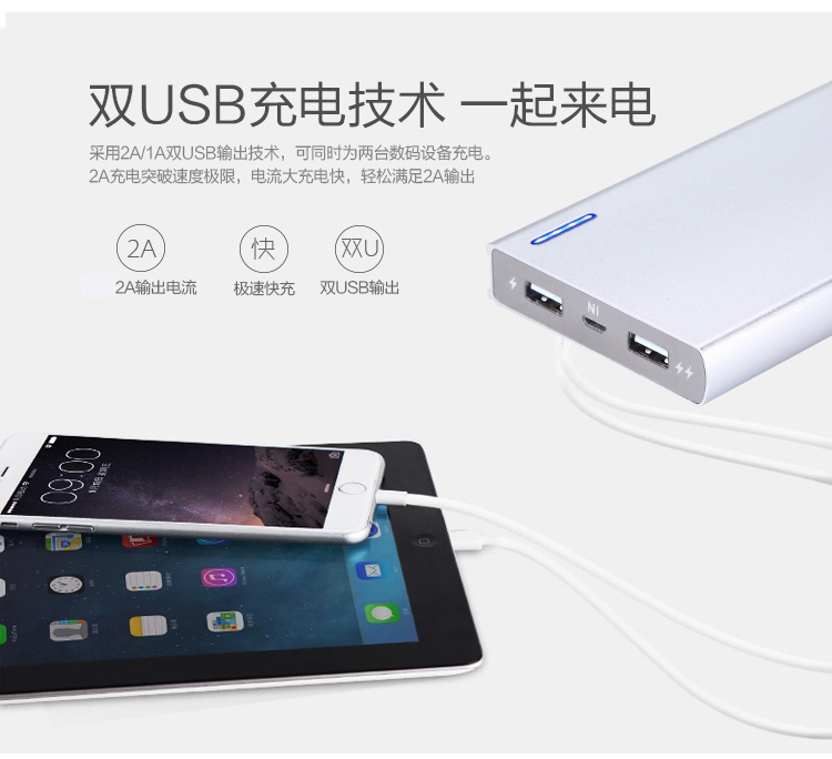 纽曼（Newmine）C102 聚合物电芯 双USB输出 摇一摇显示电量 移动电源/充电宝 10000毫安 金色
