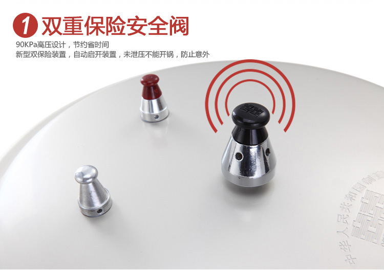 
                                【京东超市】双喜压力锅世纪装24CM 6人用复合底 明火电磁炉通用 煲炖汤锅LM-02AF            