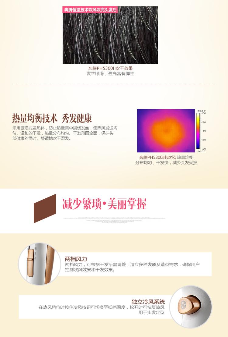 奔腾（POVOS）PH5300I 电吹风机 大功率 陶瓷白 高贵典雅白天鹅系列