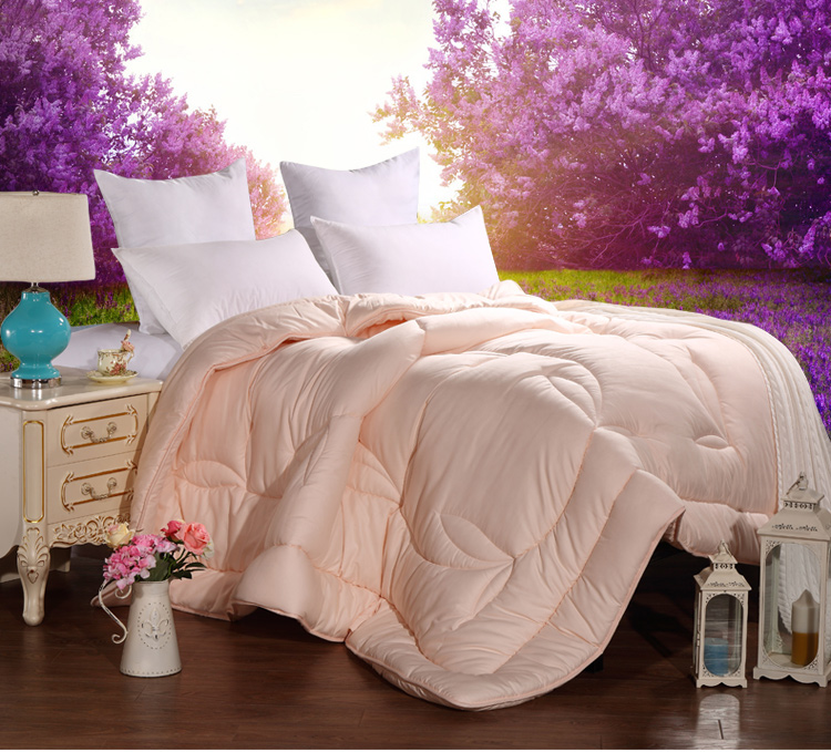 艾维 床品家纺 被芯 加厚款舒柔暖芯冬被子 双人加大 220*240cm