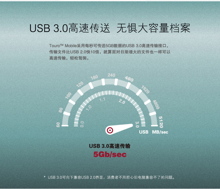 
                                        HGST 西部数据集团出品 Touro Mobile 2.5英寸 1TB 便携式移动硬盘 5400转 USB3.0【经典黑】                