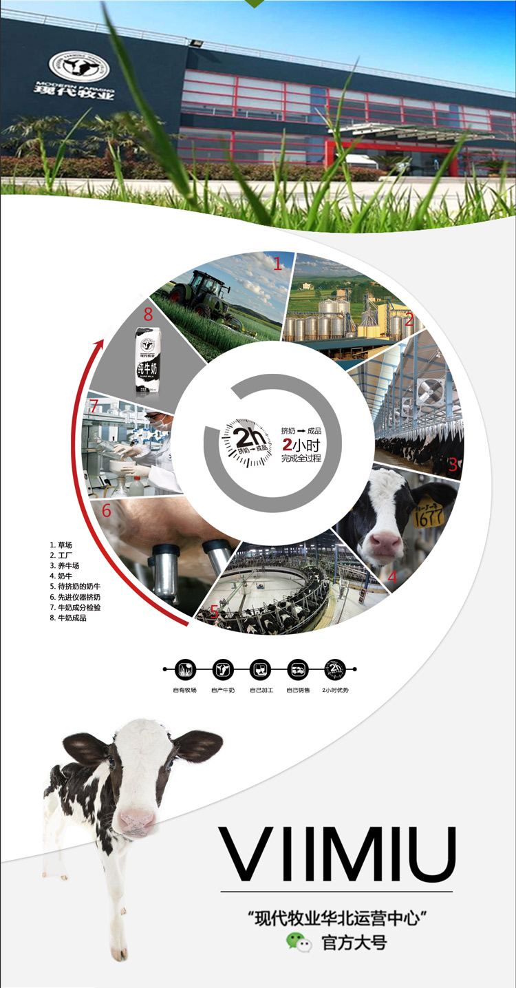 
                                        
                                        现代牧业（MODERN FARMING）尊贵装纯牛奶 250ml×12包 尊享礼盒                