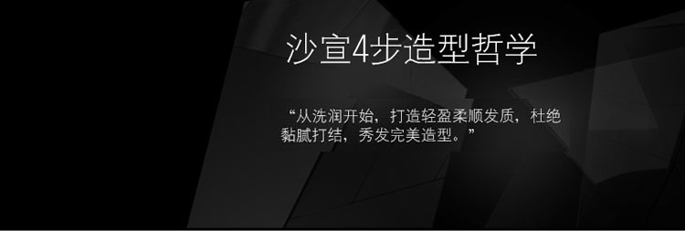 
                                        
                                                            沙宣洗发水清盈顺柔750ml（针对油性扁塌发质 水油平衡 轻盈蓬松 新老包装随机发货）                