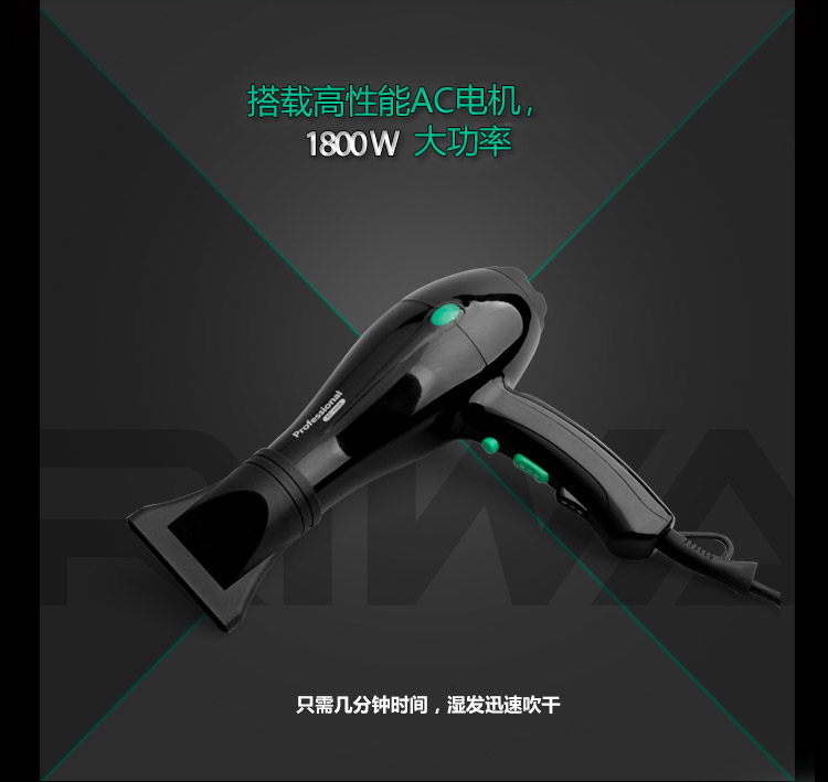 雷瓦(RIWA) 电吹风机 家用1800W 黑色RC-490A