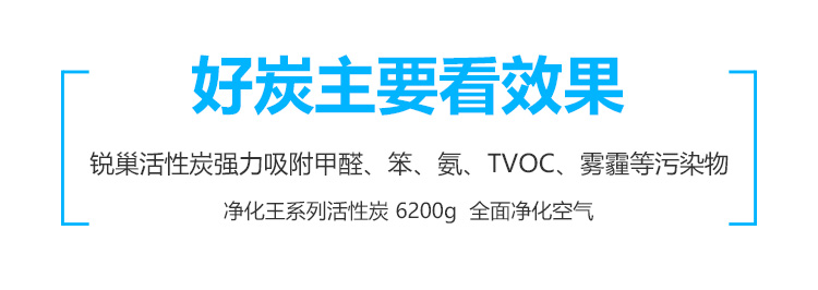 
                                        
                                        锐巢 除甲醛净化王活性炭包6200g 新房装修去甲醛清除剂汽车家用净化除味竹炭包碳包                
