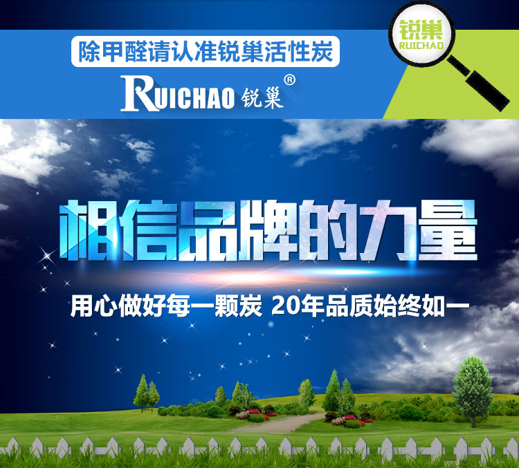 
                                        
                                                            锐巢 净化王免晒活性炭包2000g 新房装修除甲醛清除剂 家用汽车去甲醛竹炭包净化除味碳包（精装）                