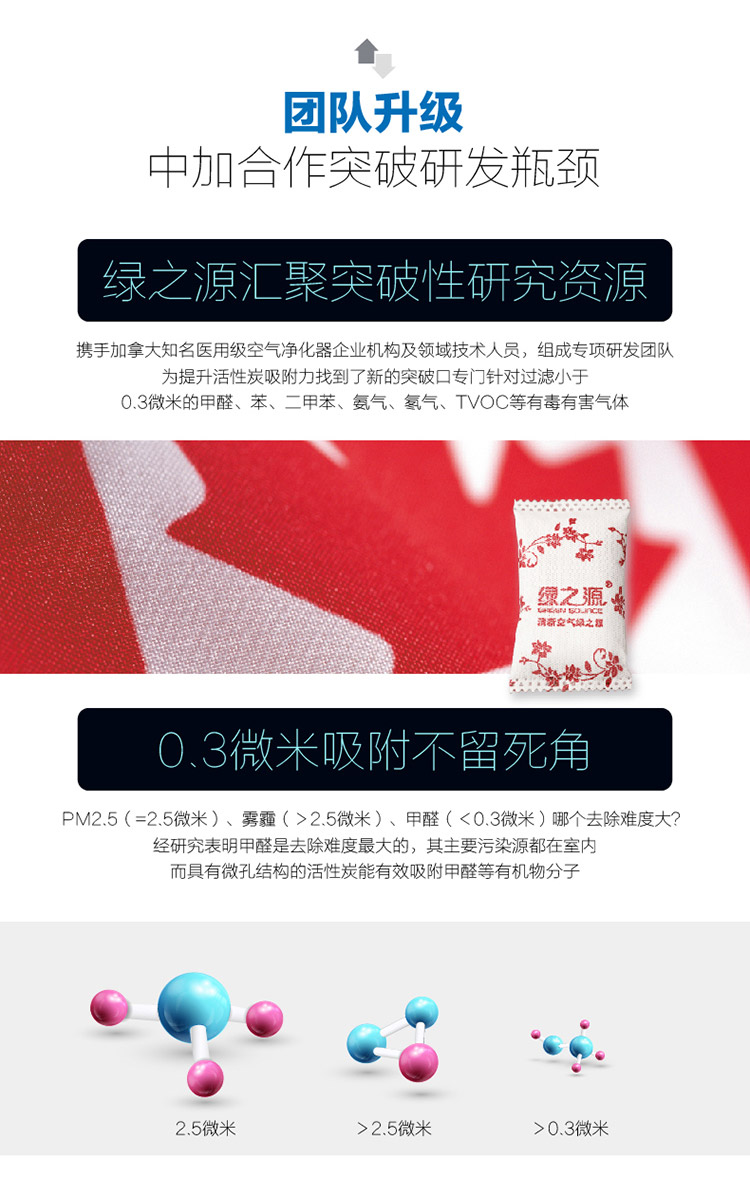 
                                        
                                                                                绿之源 2000g净化王卓越装 除甲醛活性炭家用车用吸去除甲醛清除剂竹炭防潮碳包除味剂送甲醛检测盒2盒                