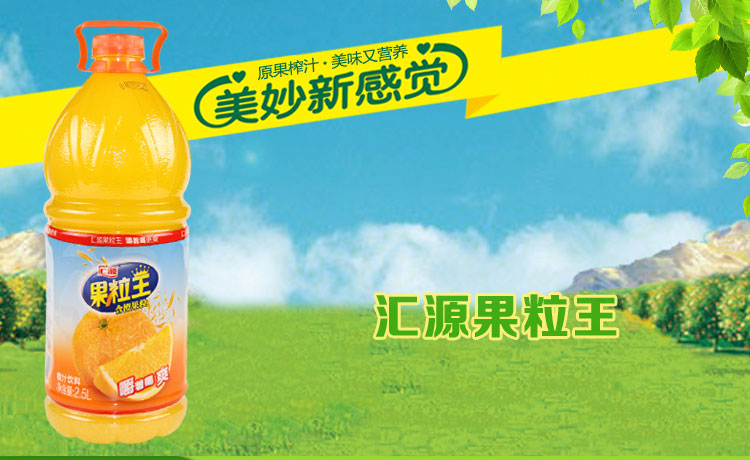 汇源果粒王25l瓶