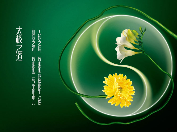 佰草集太极.日月.蕴美精华70ml 70ml