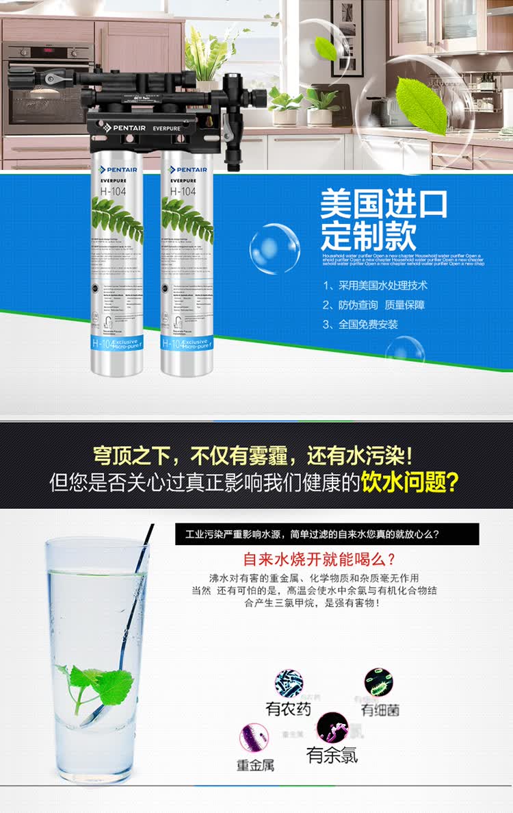 【爱惠浦h104双联款】滨特尔爱惠浦(everpure)净水器家用 双芯过滤大