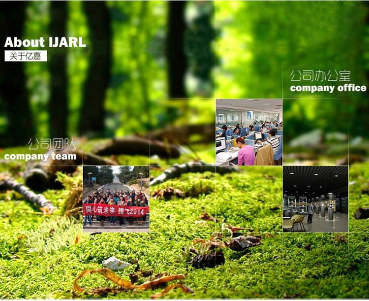 
                                        
                                        亿嘉IJARL 家用时尚陶瓷餐具碗碟碗筷碗盘创意送礼餐具套装 东洋之心 12件套                