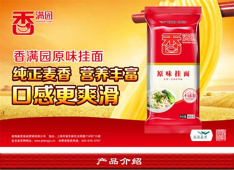 香满园 面条 拉面 汤面 素面 原味挂面900g