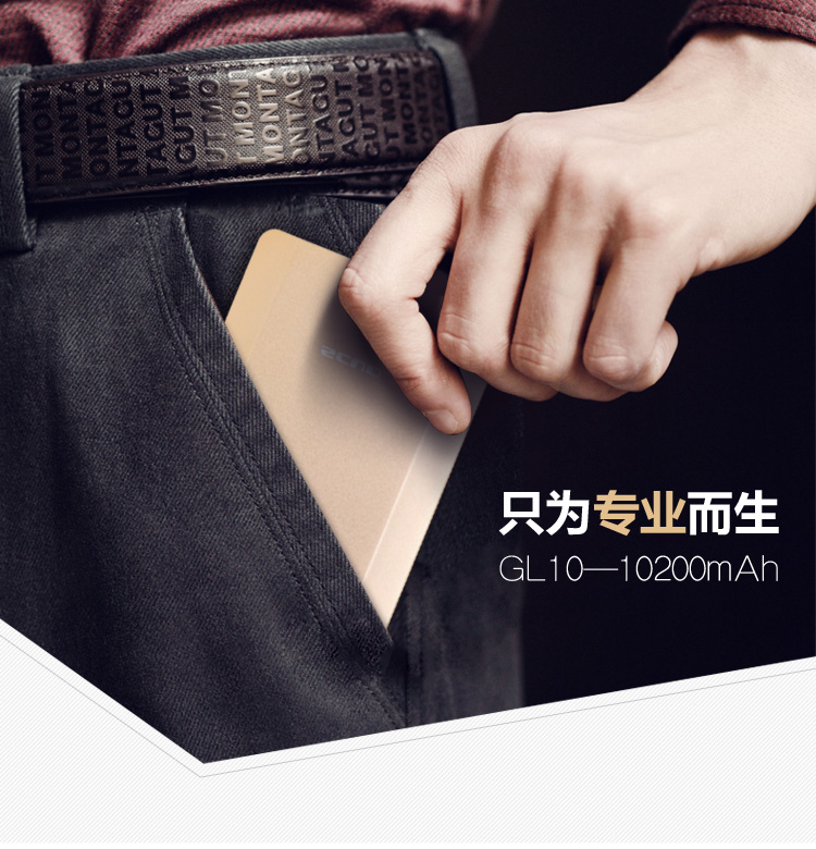 飞毛腿 10200毫安 移动电源/充电宝 聚合物 双USB输出 GL10 香槟金