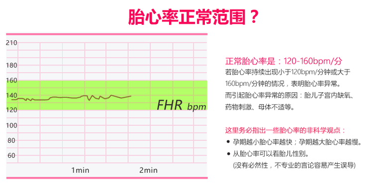 贝缤纷胎心仪家用多普勒无辐射孕妇听胎心监测胎音仪 京东H...-京东