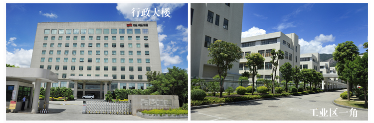飞毛腿 10200毫安 移动电源/充电宝 聚合物 双USB输出 GL10 香槟金