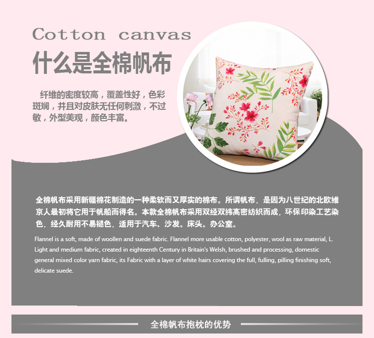 艾薇 家纺床品 粗布靠枕靠背腰垫办公抱枕套装+芯（春色满园2个）