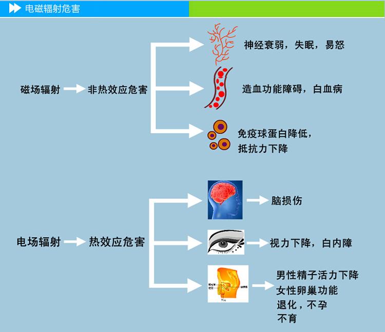 
                                        贝谷（Begood） 孕妇挂脖式电磁辐射检测仪 磁场测试仪 BGRM-02                