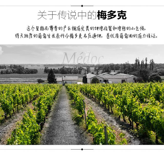 法国进口红酒 梅多克产区梅尚庄园波尔多AOC