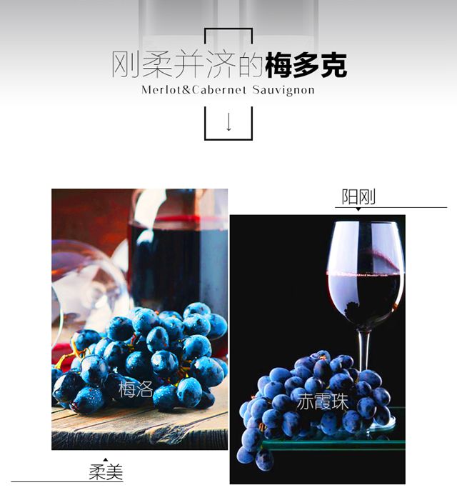 法国进口红酒 梅多克产区梅尚庄园波尔多AOC