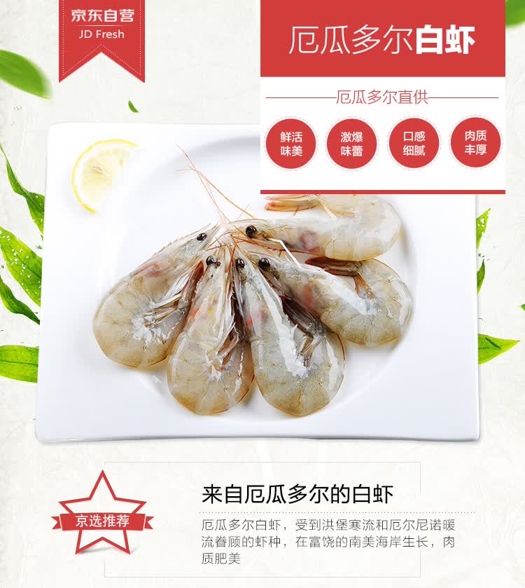 guolian厄瓜多尔白虾5060只kg