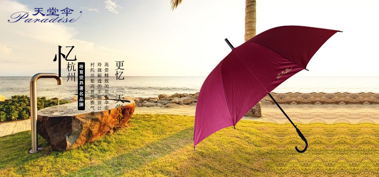 
                                                            天堂伞 长柄伞直杆伞加大70*10K自开双人伞晴雨伞商务伞 墨绿193E                