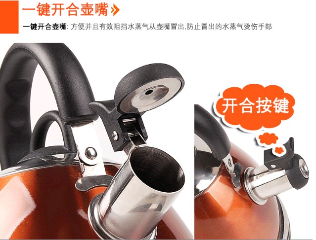 
                                        
                                        苏泊尔supor炫彩鸣笛不锈钢水壶SS30R1                