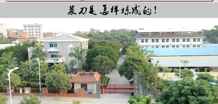 
                                        
                                        正士作（zhengshizuo）三合钢厨房砍骨刀 TE-1号                