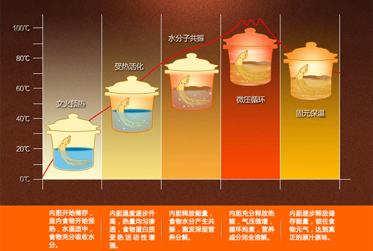 苏泊尔（SUPOR)电炖锅多功能电炖盅DKZ50B1-300红陶内胆5L