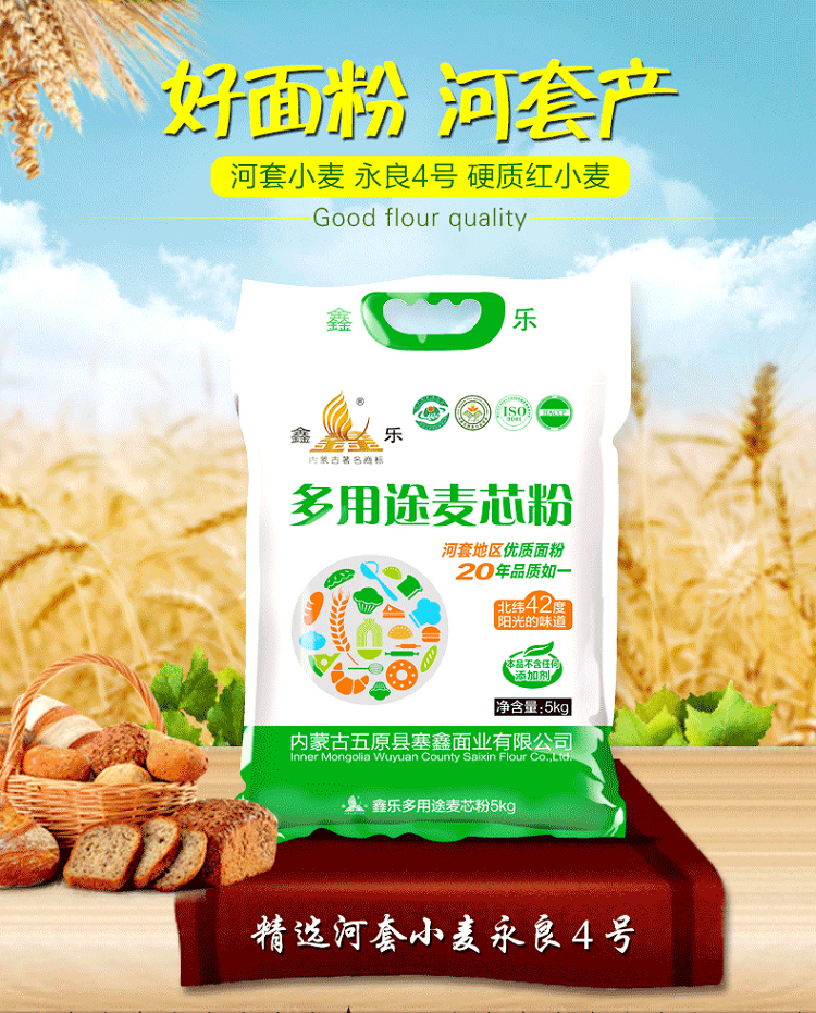 鑫乐 河套平原多用途麦芯粉 内蒙古小麦粉面粉 馒头包子饺子烙饼面包