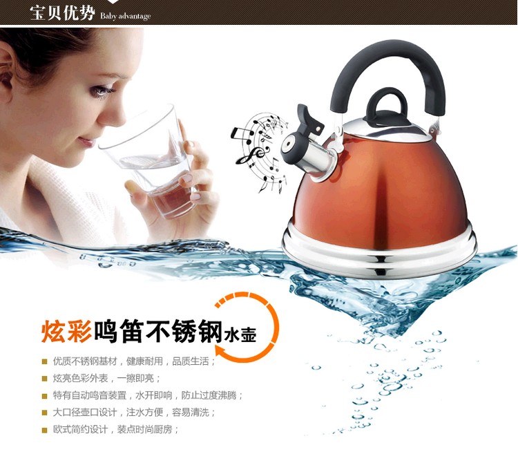 
                                        
                                        苏泊尔supor炫彩鸣笛不锈钢水壶SS30R1                