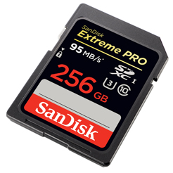
                                                            闪迪（SanDisk）256GB SD存储卡 U3 C10 V30 4K至尊超极速版数码相机内存卡 读速170MB/s 写速90MB/s                