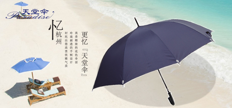
                                        
                                                            天堂伞 直杆伞自开长柄伞晴雨伞加大2-3人经典商务伞远红外线负离子太阳伞遮阳伞76cm*10骨 藏青色                