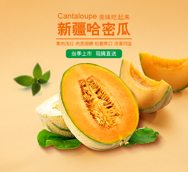 佳多果 卡波蜜哈密瓜原箱 3粒装 净果约8kg 新鲜水果
