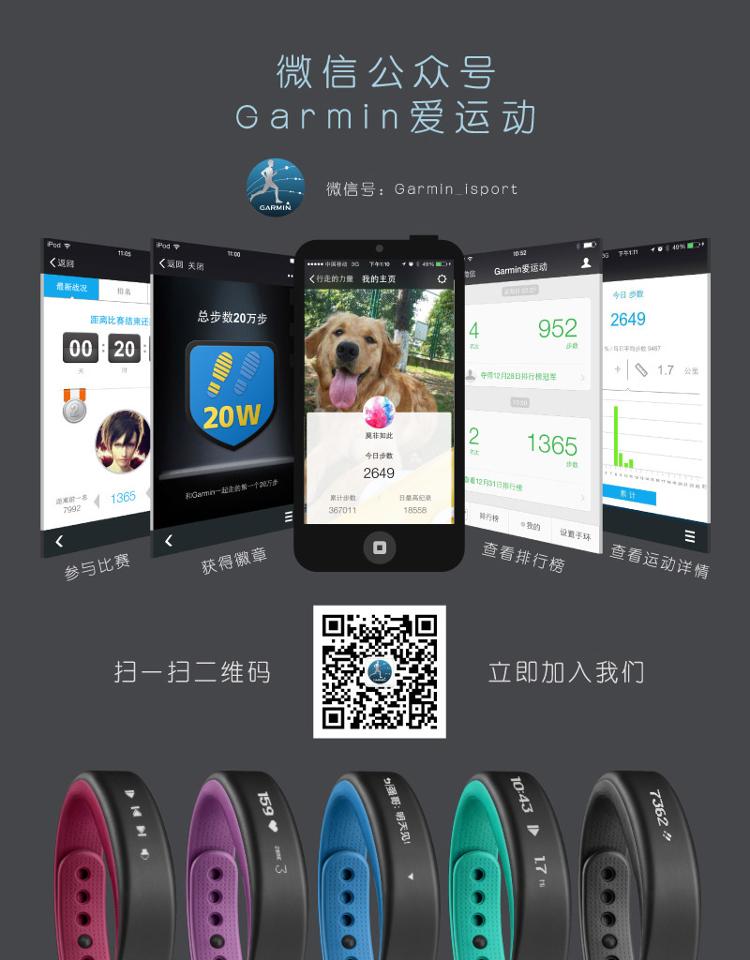 佳明（GARMIN）vivosmart  紫色 智能运动手环腕带 50米防水 计步器蓝牙 睡眠监测 震动提醒