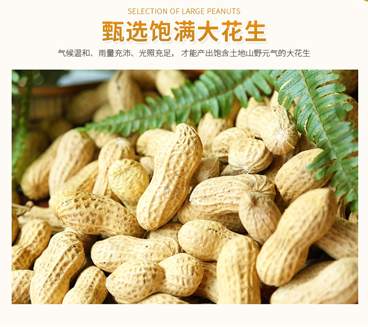 华味亨 坚果炒货 办公休闲花生浓香酥脆 鱼皮花生320g/袋