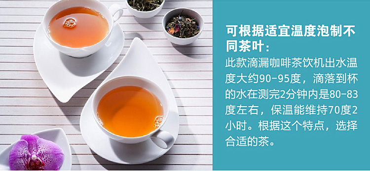 瑞典北欧欧慕（nathome）NKF6002 咖啡机滴漏式咖啡壶煮茶机泡茶壶 黑色 美式