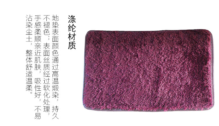 汉莱格 精品超柔丝绒客厅卧室浴室地毯地垫40*60cm紫红