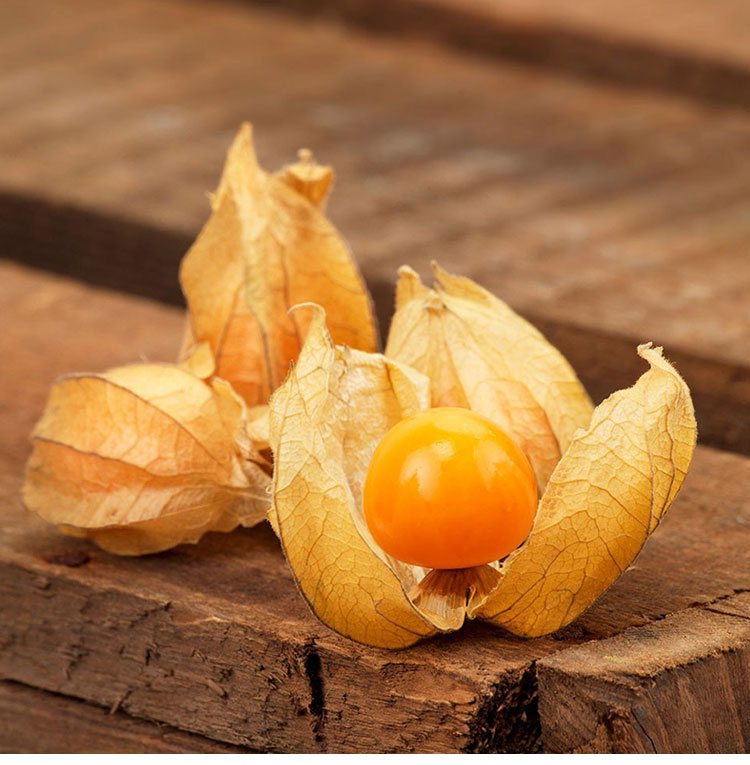 兴业源 黑龙江姑娘果菇茑儿 净重500g 新鲜水果