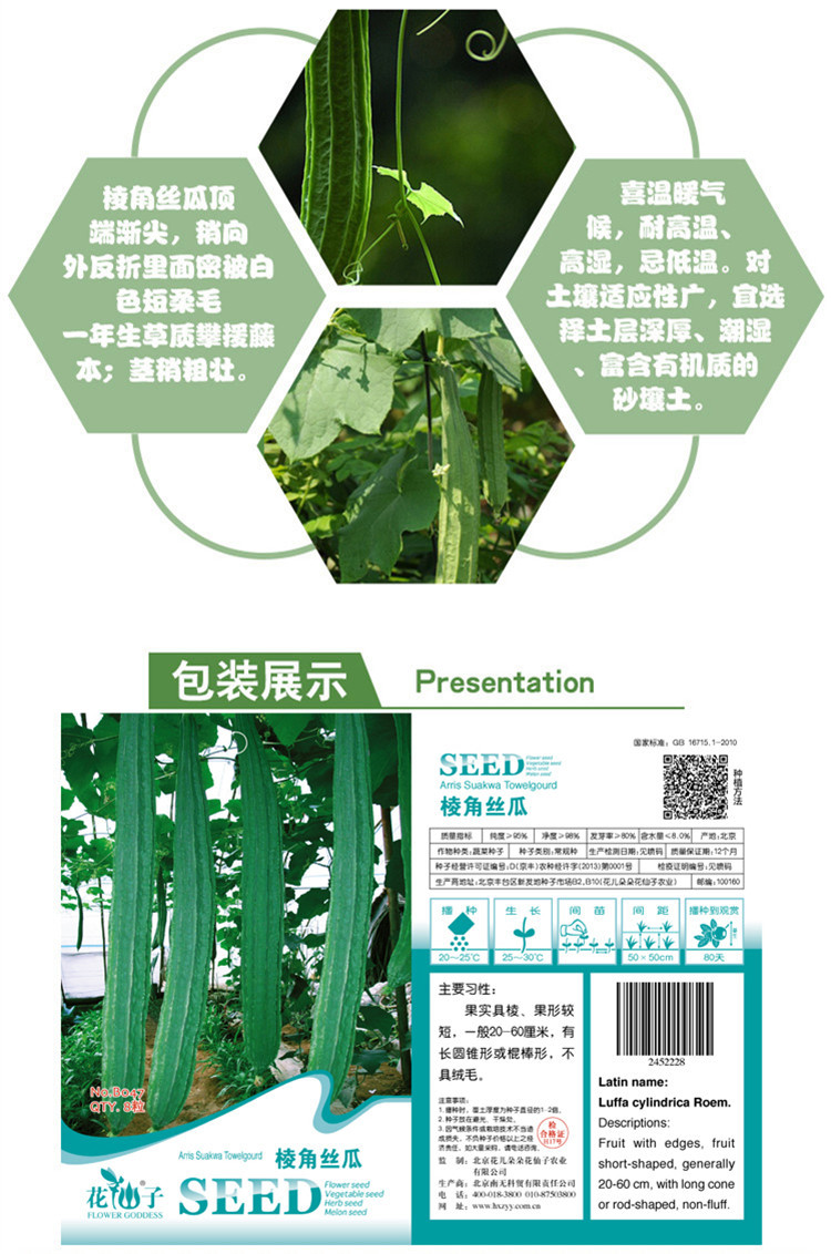 【花仙子棱角丝瓜种子】花仙子 棱角丝瓜 绿色 蔬菜种子 家庭阳台