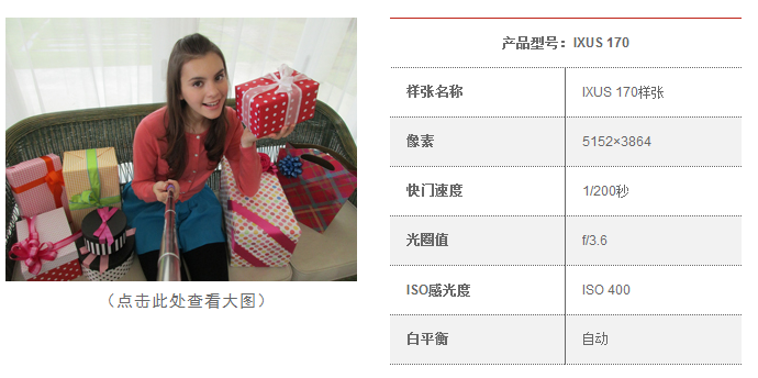 佳能（Canon）IXUS170 数码相机（2000万像素 12倍光学变焦 25mm超广角）黑色套装版（16G卡+相机包）