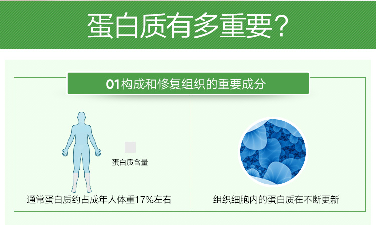 同仁堂 总统牌蛋白质粉300克(10克/袋*30袋)-京东