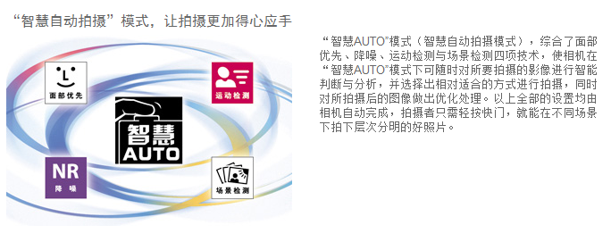 佳能（Canon）PowerShot SX530 HS 数码相机（ 1600万像素 、50倍光学变焦）单机版